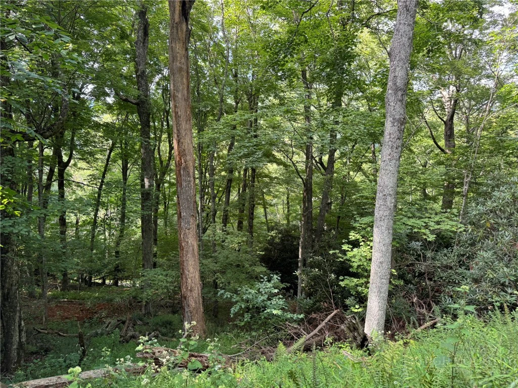 Image number 7 for the current listing