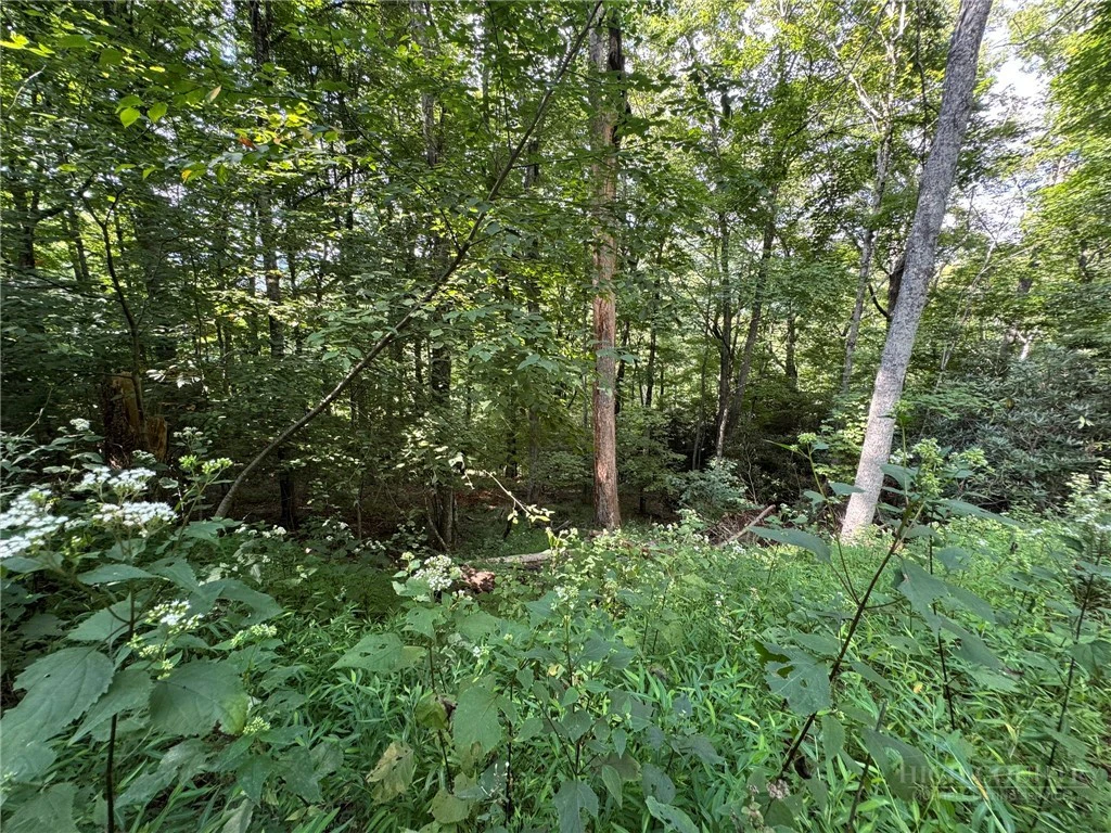 Image number 8 for the current listing