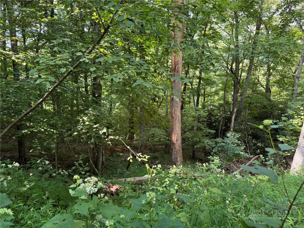 Image number 9 for the current listing