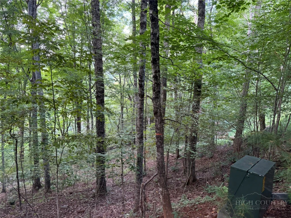 Image number 11 for the current listing