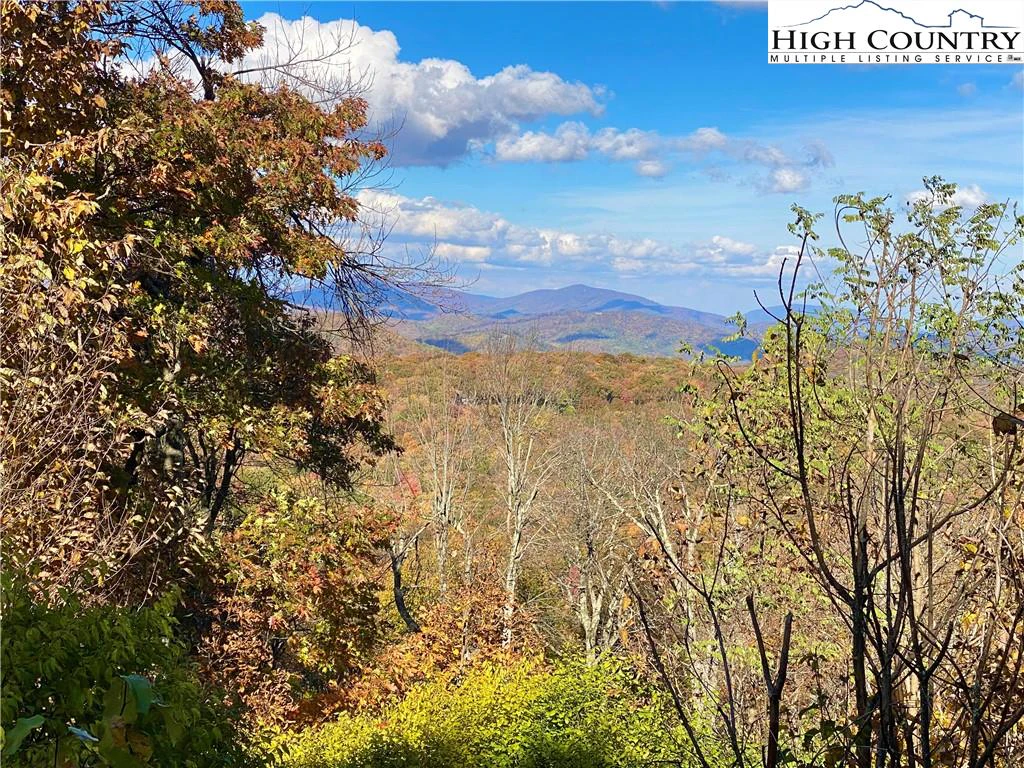 Image number 1 for the current listing