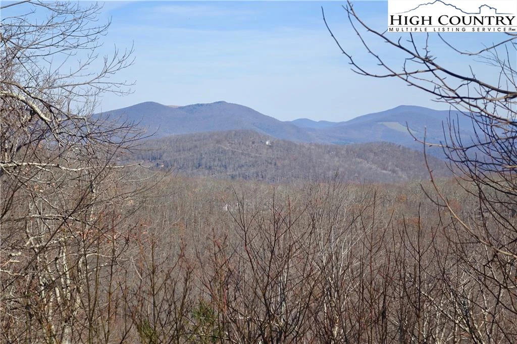 Image number 11 for the current listing