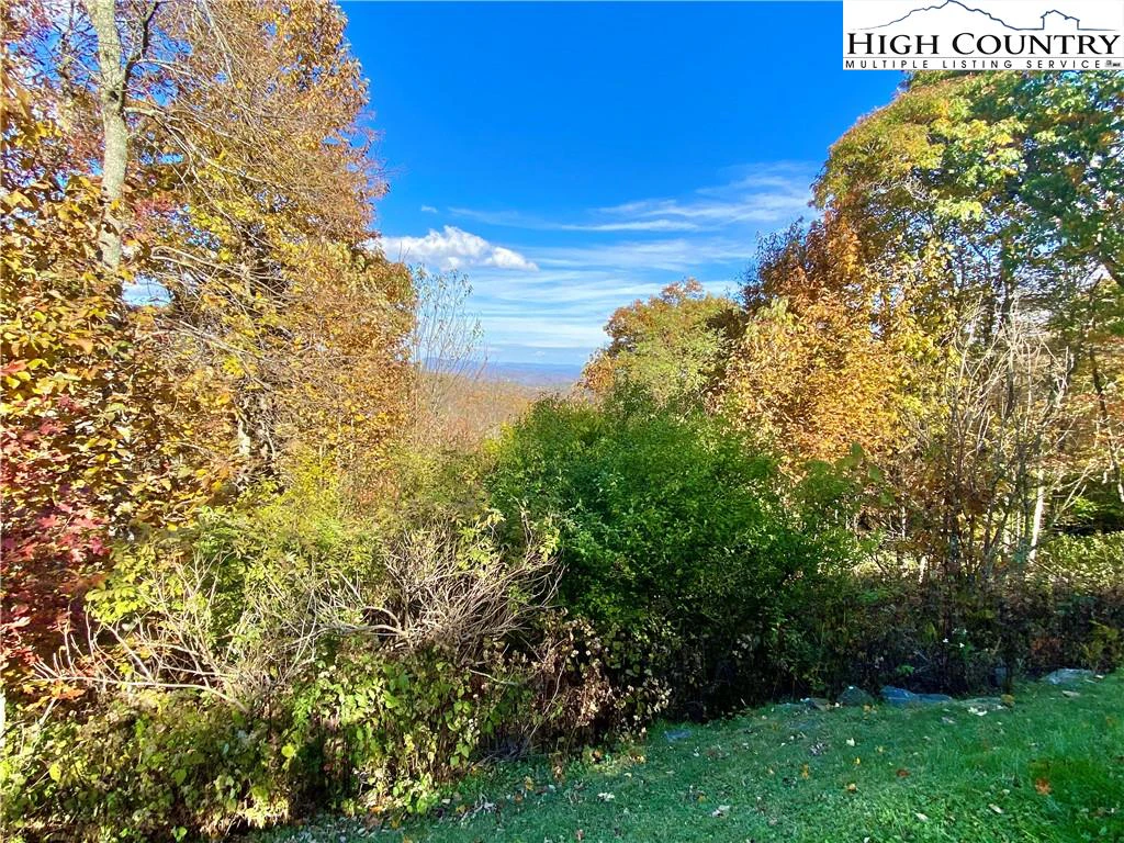 Image number 3 for the current listing