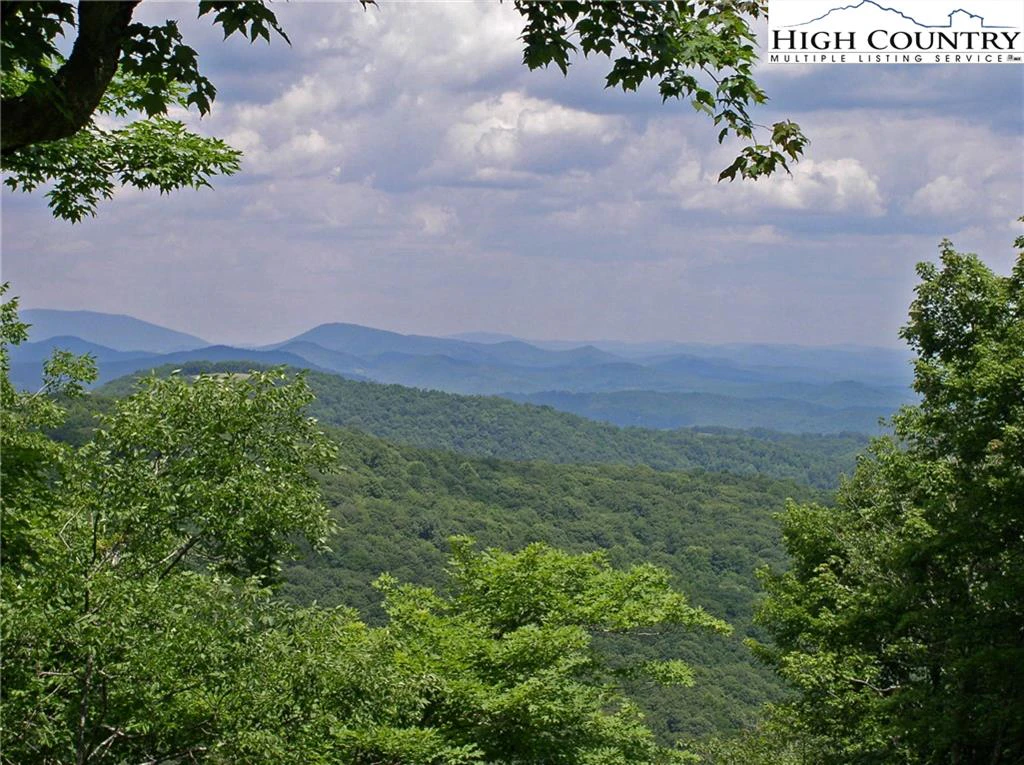 Image number 5 for the current listing