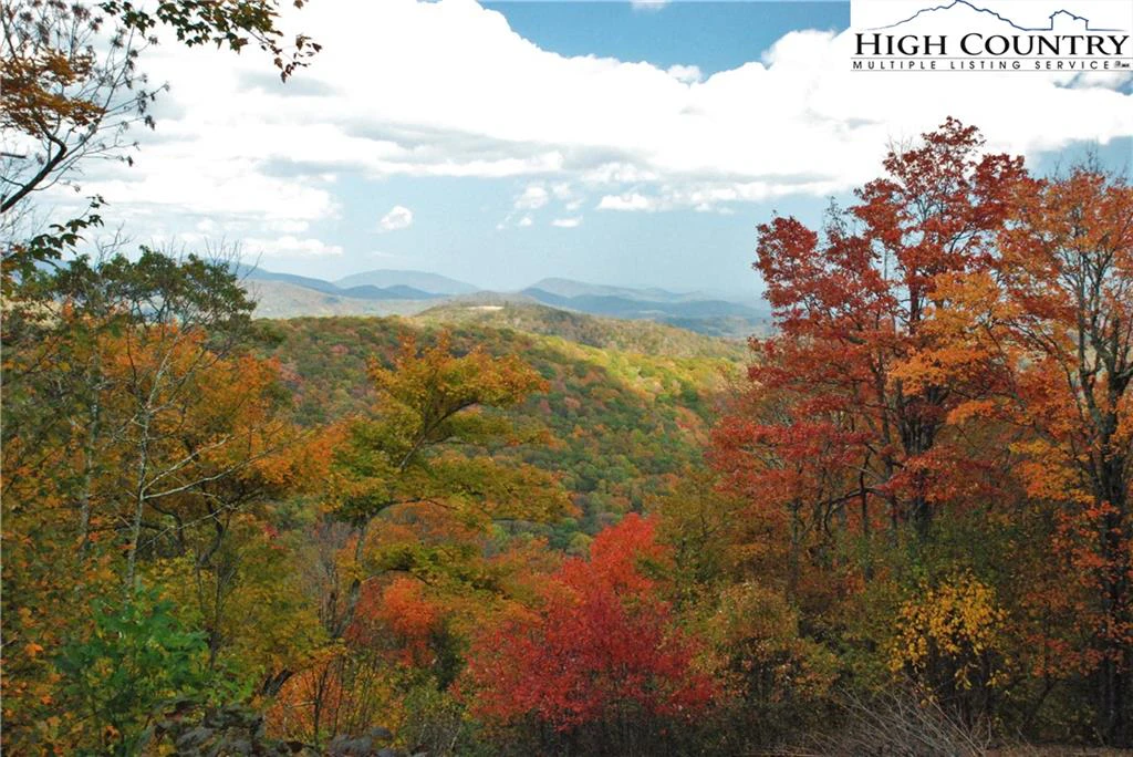 Image number 6 for the current listing