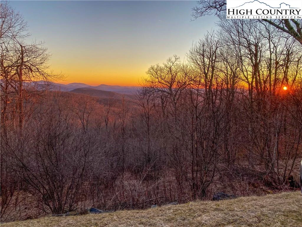Image number 7 for the current listing