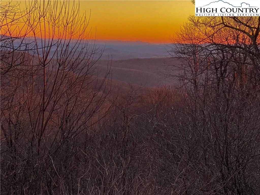 Image number 8 for the current listing