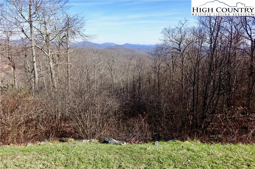 Image number 9 for the current listing
