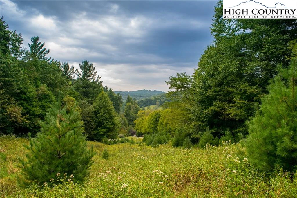 Image number 1 for the current listing