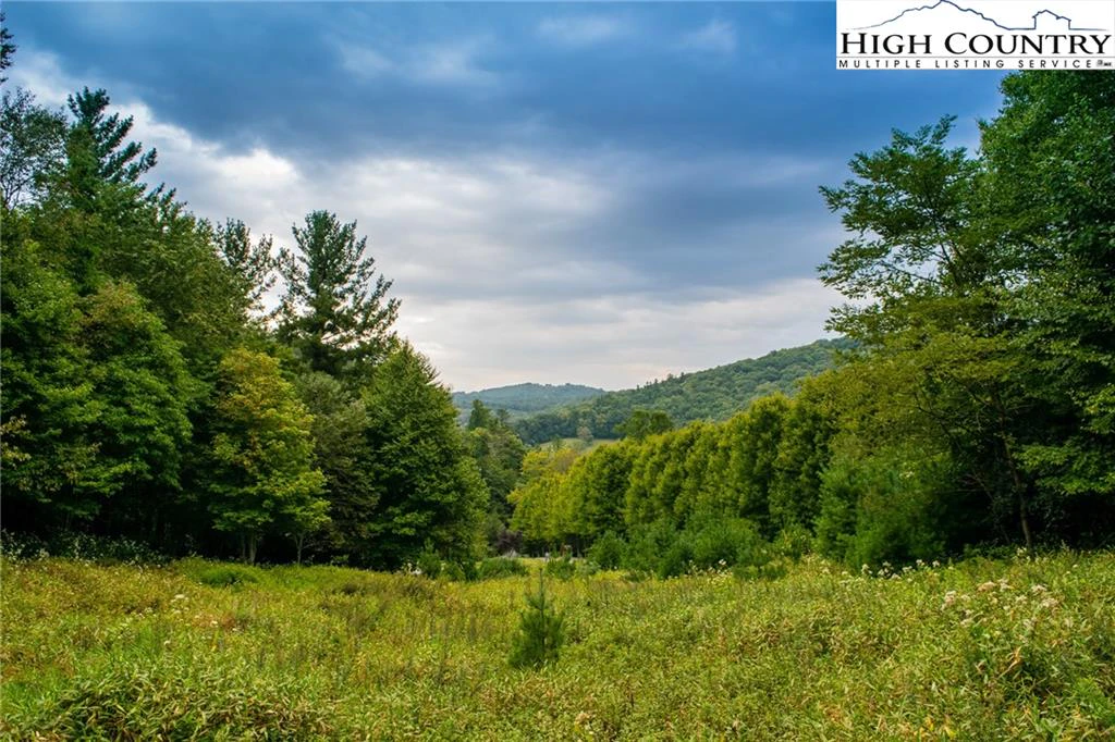 Image number 3 for the current listing