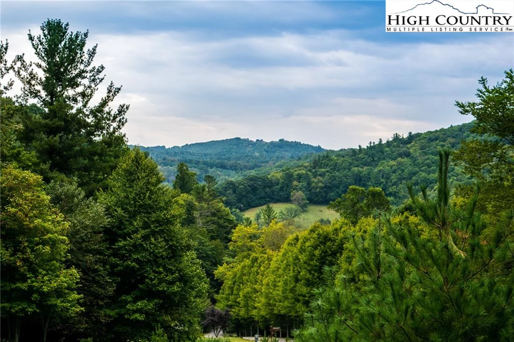 Image number 4 for the current listing