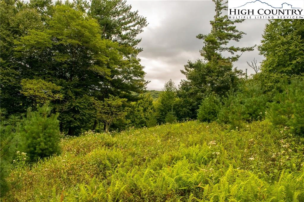 Image number 5 for the current listing