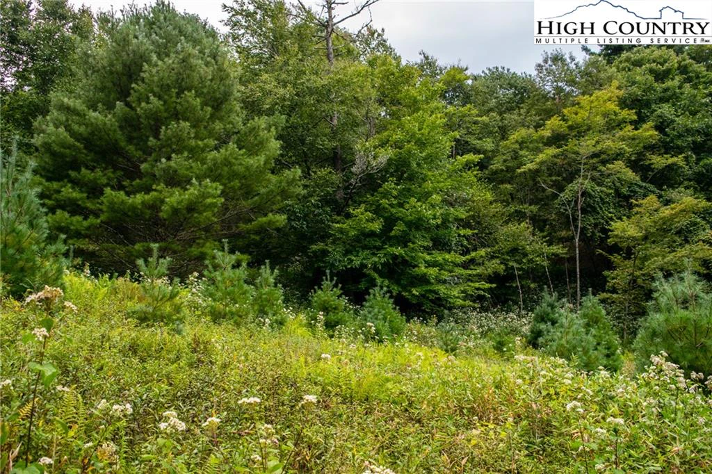 Image number 6 for the current listing