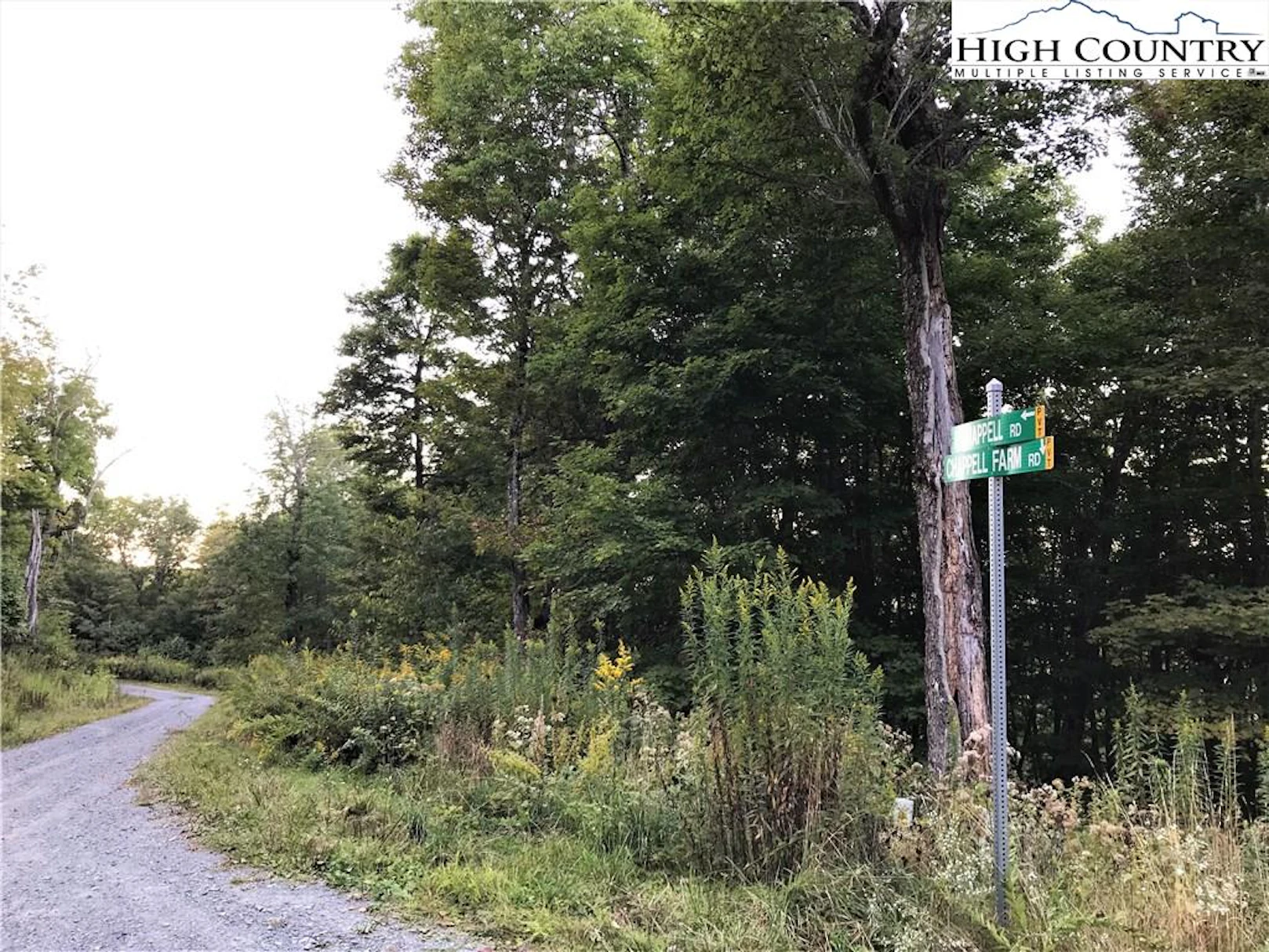 Image number 1 for the current listing