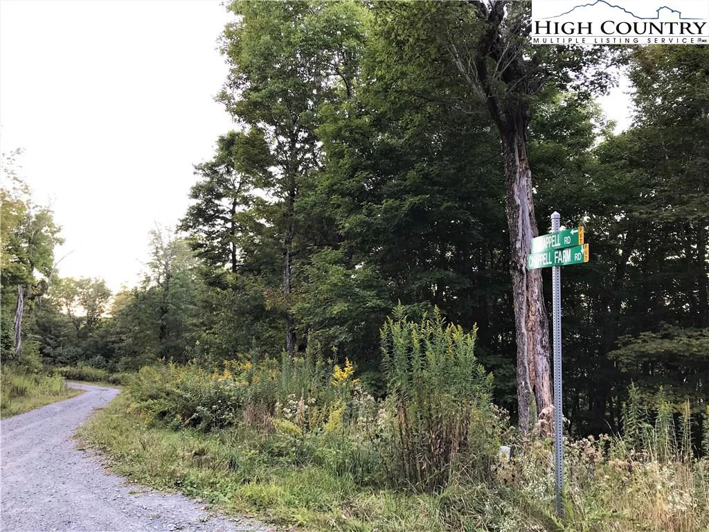 Image number 1 for the current listing