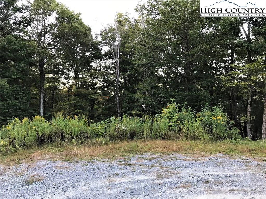Image number 3 for the current listing