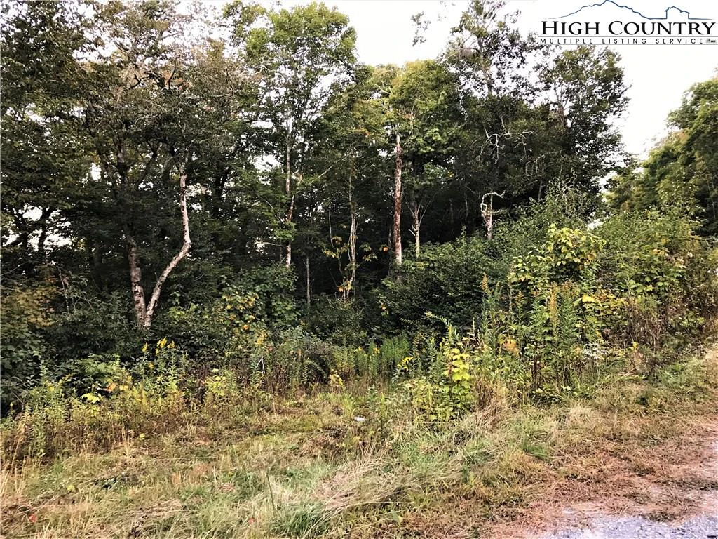 Image number 4 for the current listing