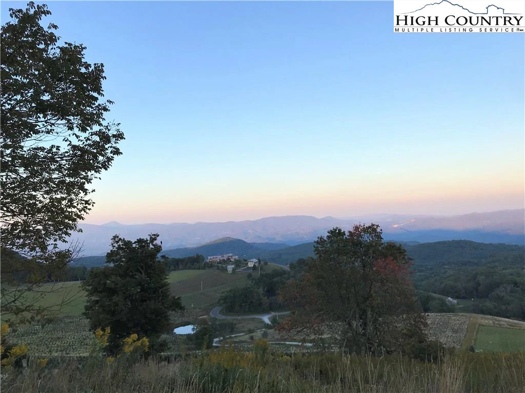 Image number 7 for the current listing
