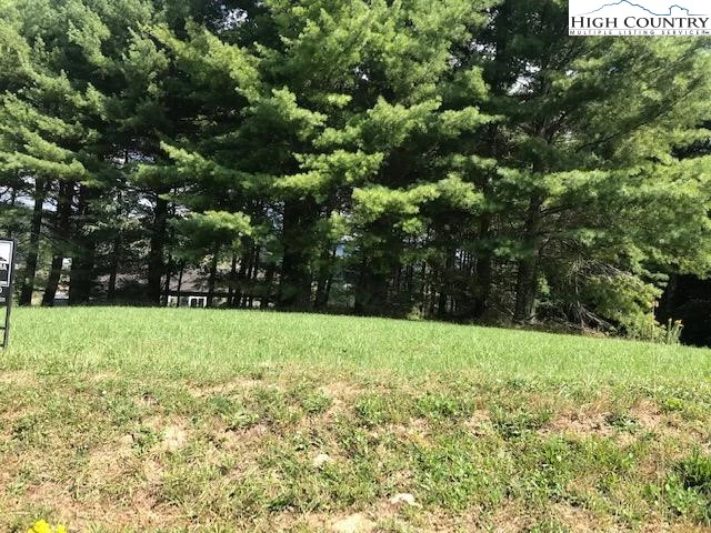 Image number 1 for the current listing