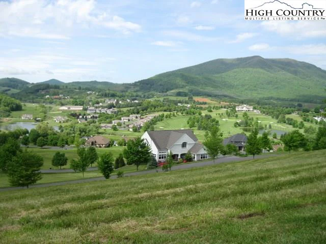 Image number 1 for the current listing