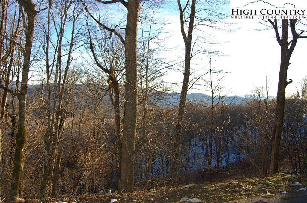 Image number 3 for the current listing