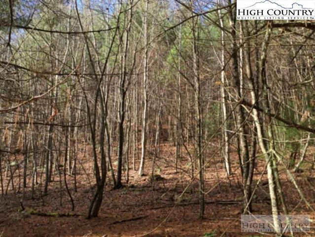 Image number 1 for the current listing