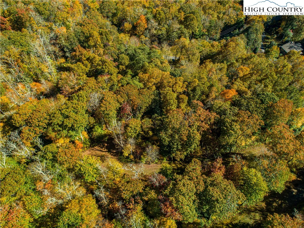 Image number 3 for the current listing
