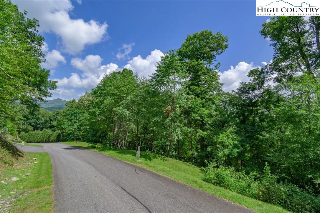 Image number 9 for the current listing