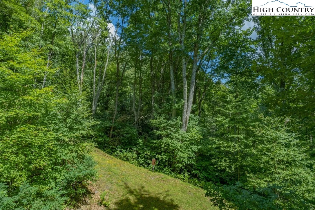 Image number 14 for the current listing