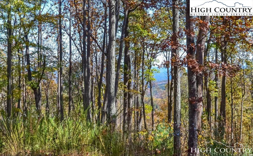 Image number 1 for the current listing