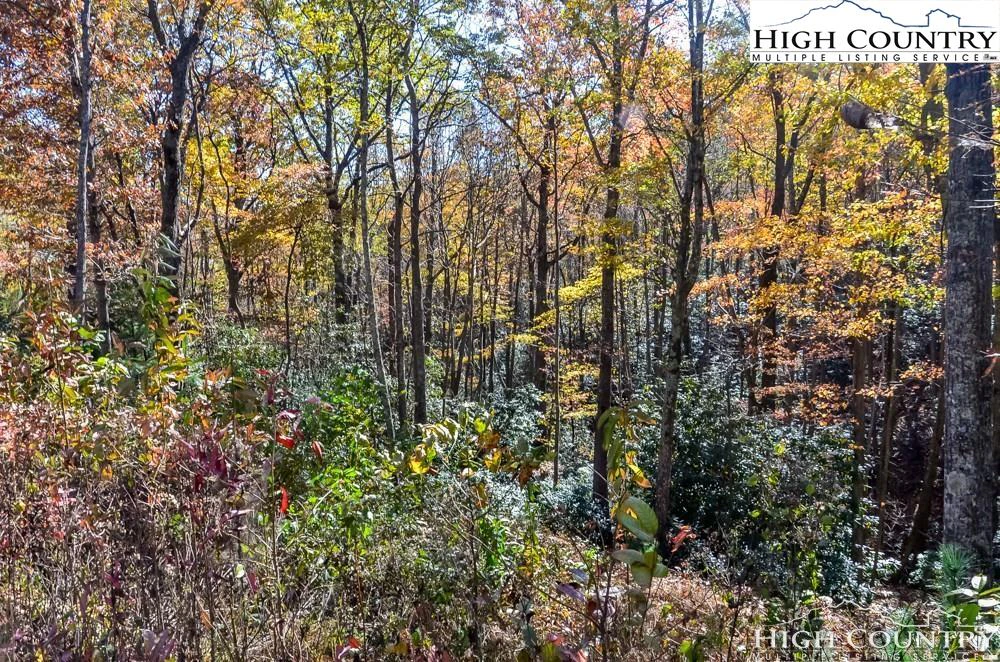 Image number 3 for the current listing