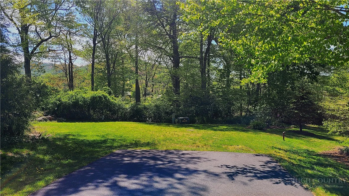 Image number 1 for the current listing