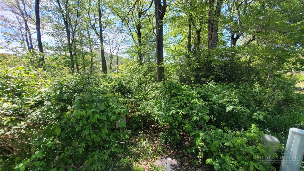 Image number 18 for the current listing