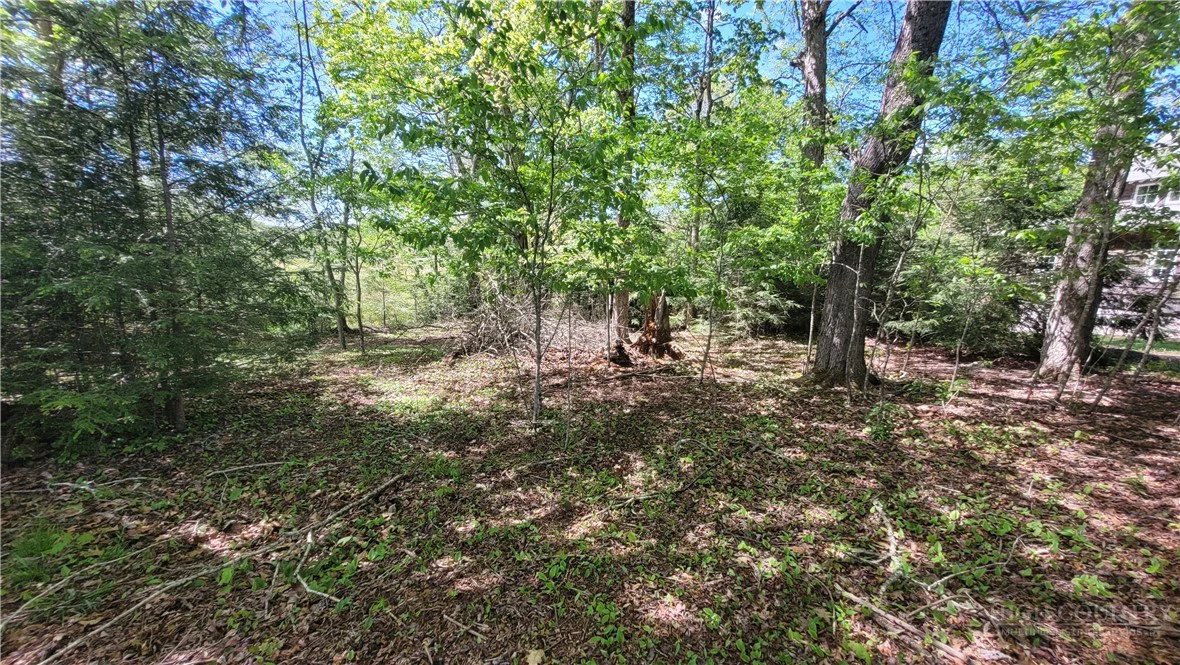 Image number 17 for the current listing