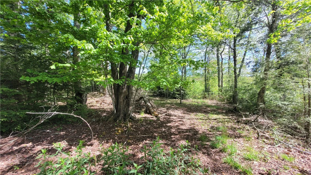Image number 16 for the current listing
