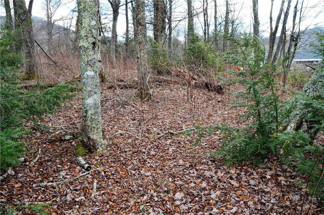Image number 2 for the current listing