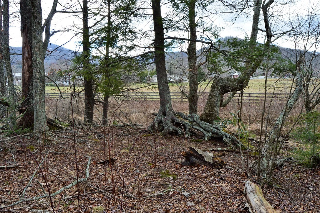 Image number 11 for the current listing