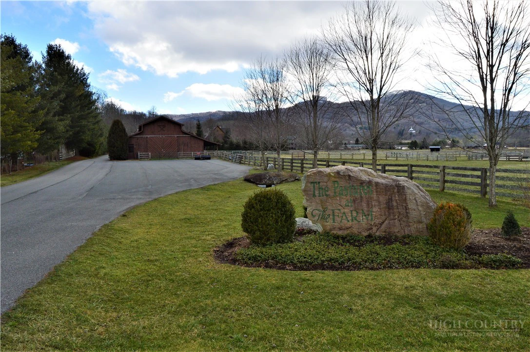 Image number 7 for the current listing