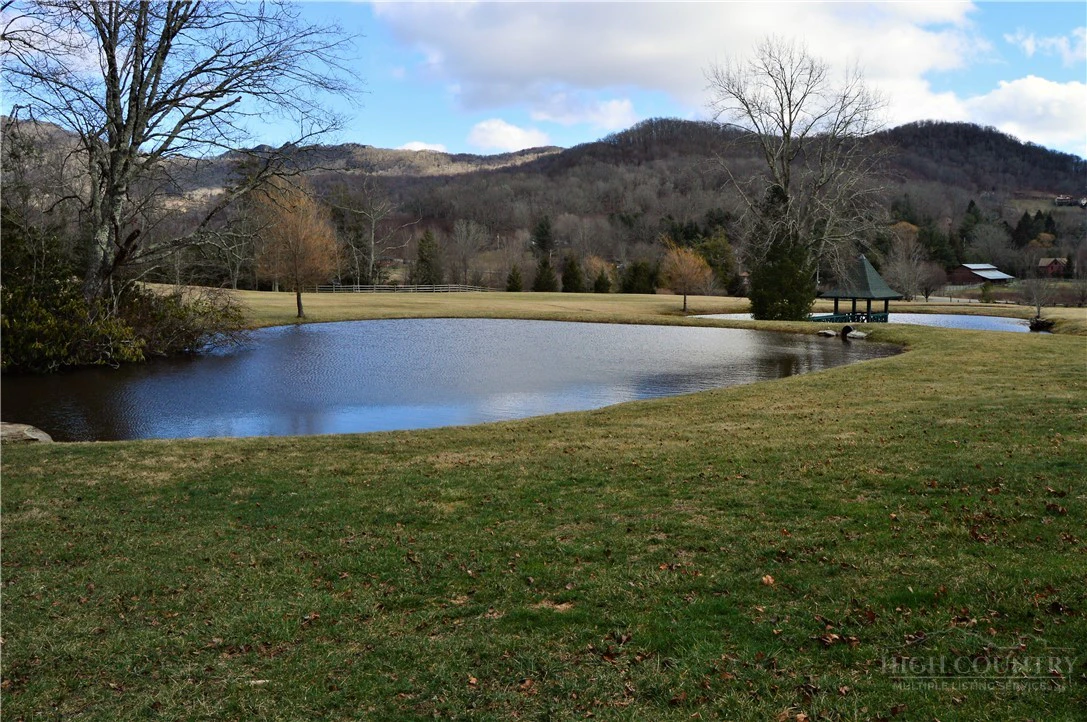 Image number 5 for the current listing