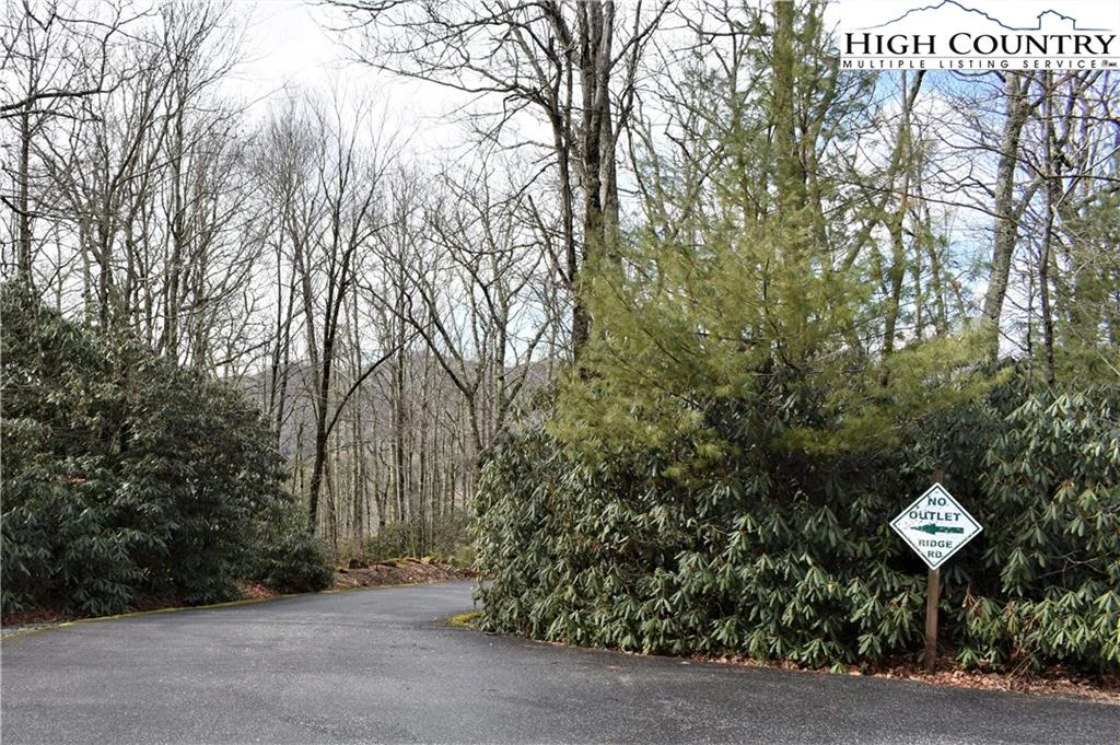 Image number 3 for the current listing