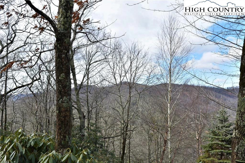 Image number 6 for the current listing