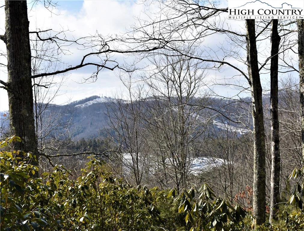 Image number 9 for the current listing