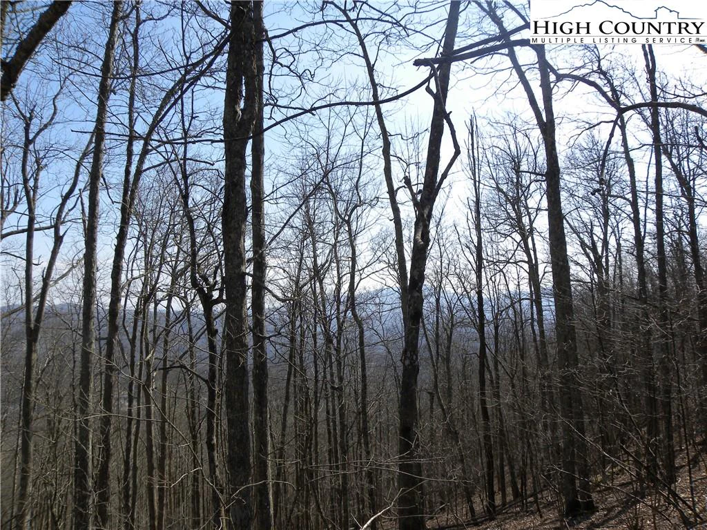 Image number 4 for the current listing
