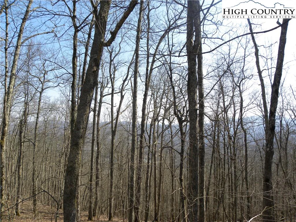 Image number 5 for the current listing