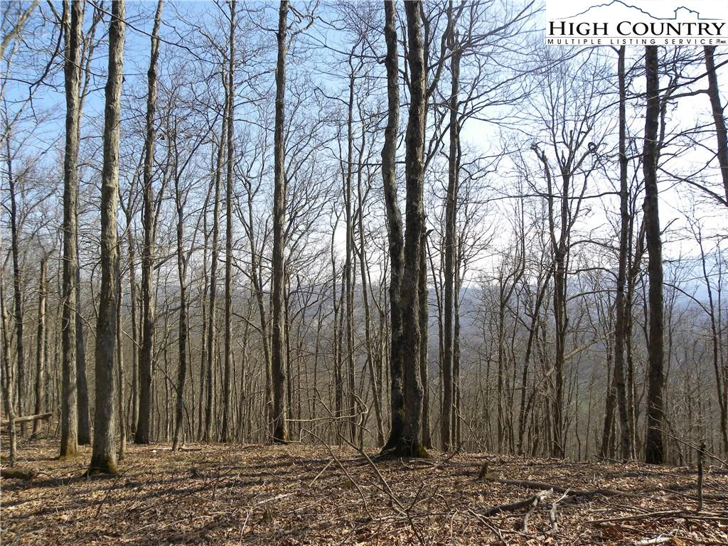 Image number 6 for the current listing