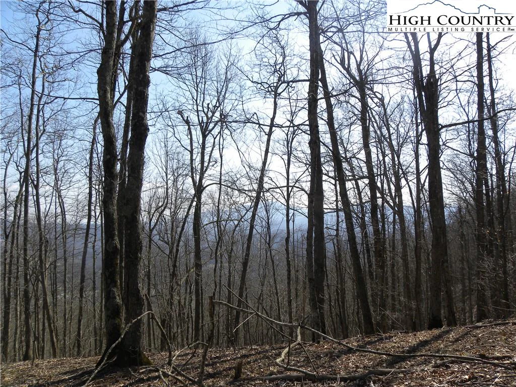 Image number 7 for the current listing