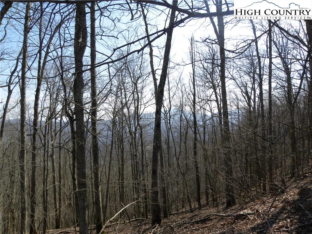 Image number 8 for the current listing