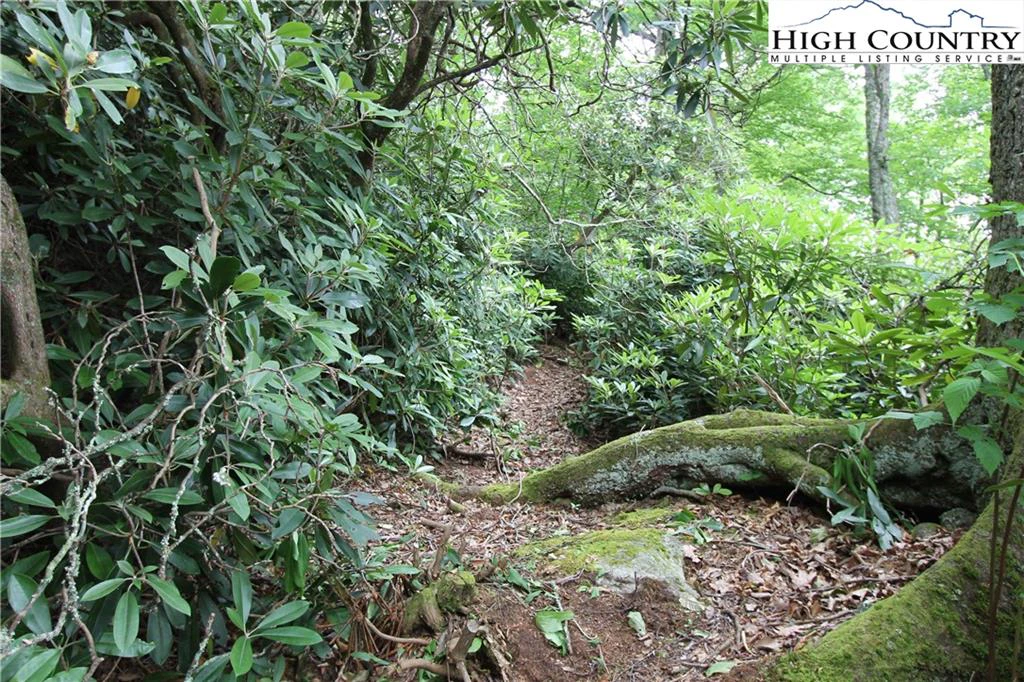 Image number 3 for the current listing