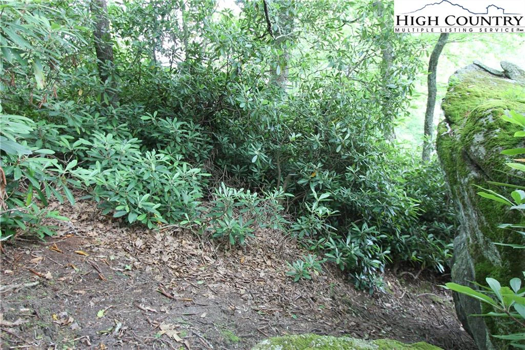 Image number 4 for the current listing