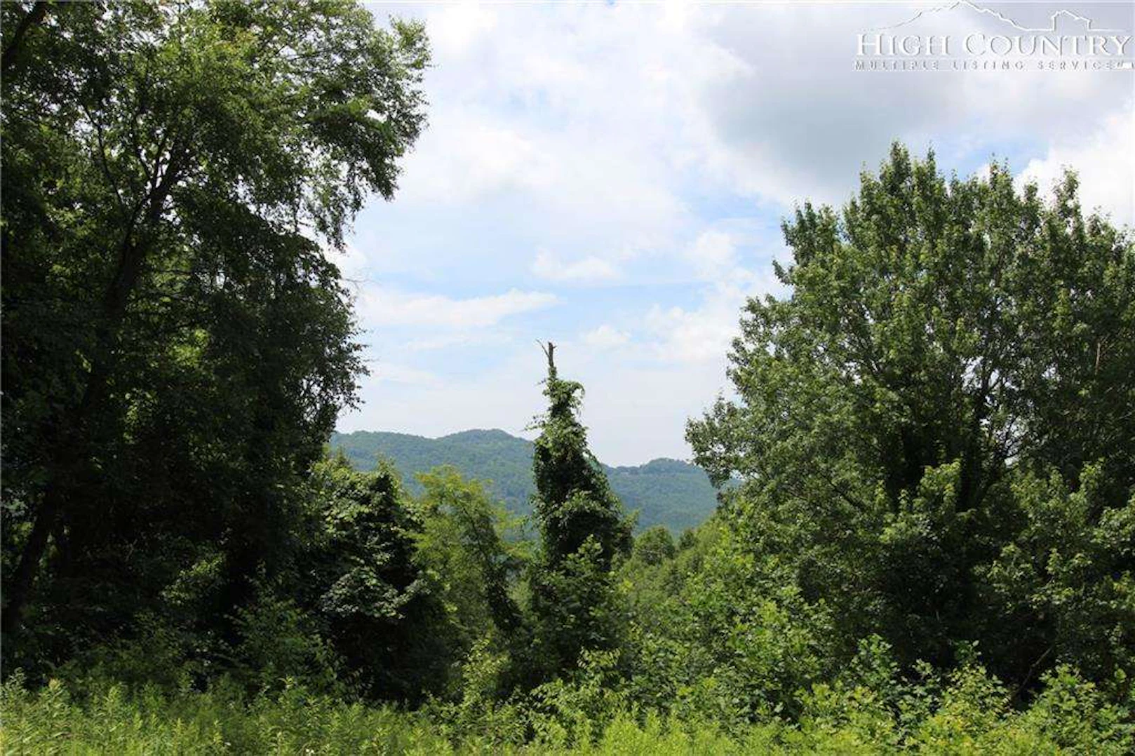 Image number 1 for the current listing